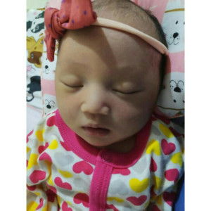 Febriarni profile icon