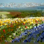 Dina Mardiani profile icon