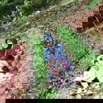 Sadiyah Adira Abiyyah profile icon