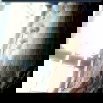 Prapatsorn Yusamran profile icon