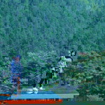 Nina Nitalia profile icon