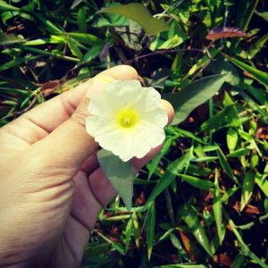 AriaTriningsih profile icon