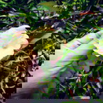 AriaTriningsih profile icon