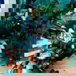 Chuyển động VTV profile icon