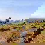 Indry Mangadil profile icon