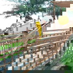 Ikhe Chukeke profile icon