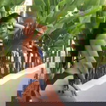 Waree Sadomsuk profile icon