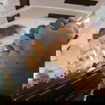 Geriza Lazo profile icon