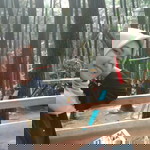 sucirahma profile icon