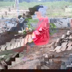 Phansa Mudphet profile icon