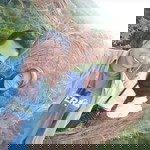 Dyatmika Purnami profile icon