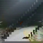1 6 2 7 Channel profile icon