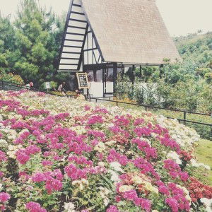 Randt Prhndani profile icon