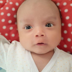 Ainun Nasichah profile icon