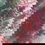 Sara Anuar profile icon