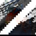 Poon Punyanut profile icon