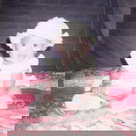 Magdalena Resti D P profile icon