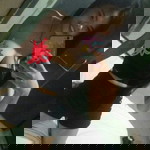 Sai Sen Kwan profile icon