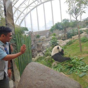 Camilo Casiano profile icon