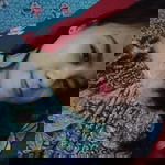Arroh Je Jenong profile icon