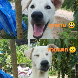 Someone profile icon