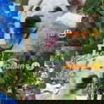 Someone profile icon
