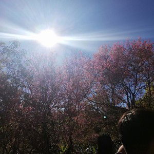 อ้นเอ้น คนเดิม profile icon