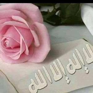 Zain Khalifa profile icon