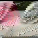 Zain Khalifa profile icon