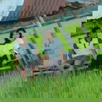 Morie Manullang profile icon