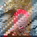 Noca Dinda profile icon