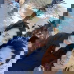 กันยกานต์ ไชยวัฒน์ profile icon