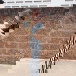 Natticha. profile icon