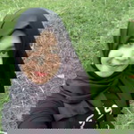 Melani Nurhalisa profile icon