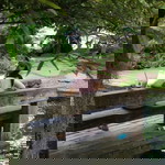 Richly Kratai profile icon