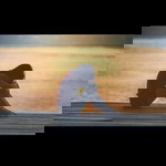 Sharmaine Real Tirante profile icon