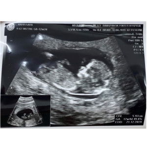 NARISSY profile icon