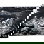 NARISSY profile icon