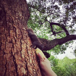 Praphatsiri Kaewpuang profile icon