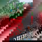 Syamsiahh Ree'nii profile icon