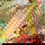 Nur Laily profile icon