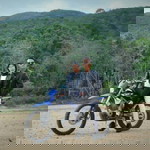 Nina Andryani Hasibuan profile icon