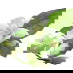 Ifa Bundanya Zaidan profile icon