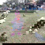 Asma Wantea profile icon