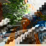 Assama Lhasamran profile icon