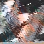 อนาคตที่ดีกว่าเดิม profile icon