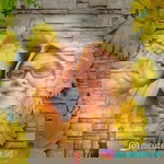 Sharifah Mas Aza Mohamad profile icon