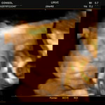 Carmella Joyce C. Querubin profile icon