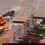 Oktaviana Resa Palupi profile icon