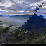 Achmar Yadi profile icon